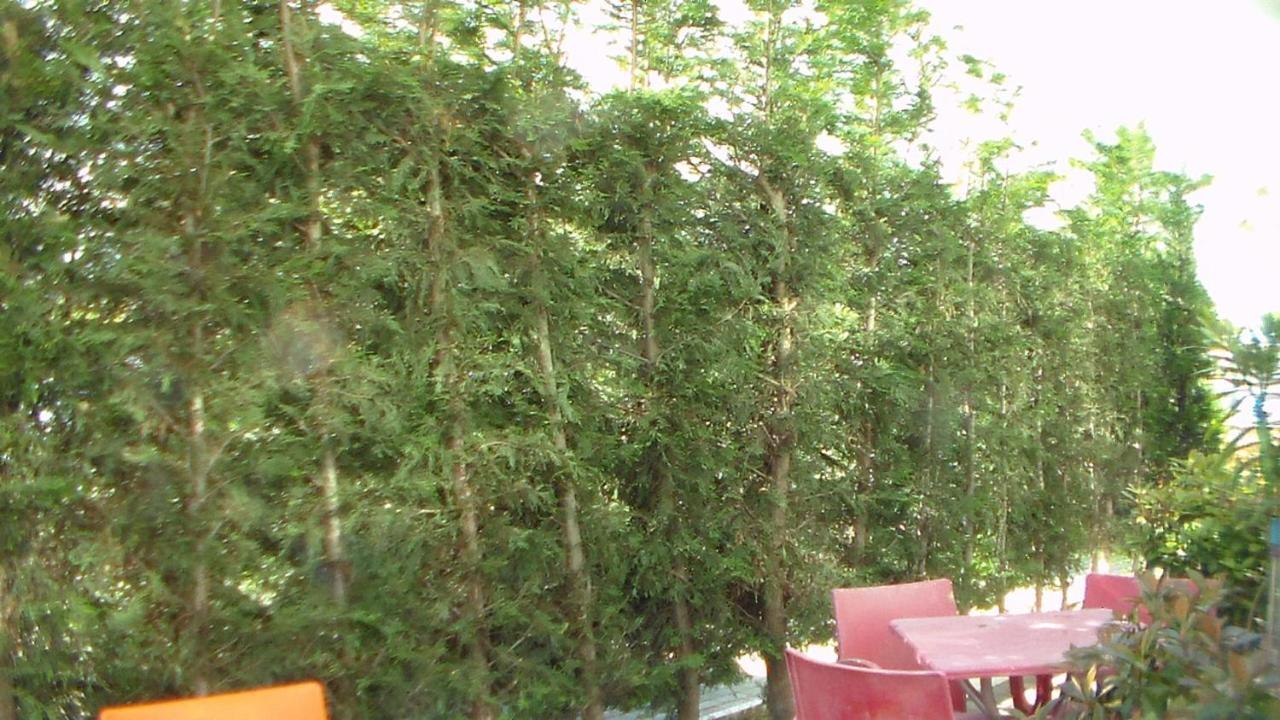 Shkoder Hotel Temali Zewnętrze zdjęcie