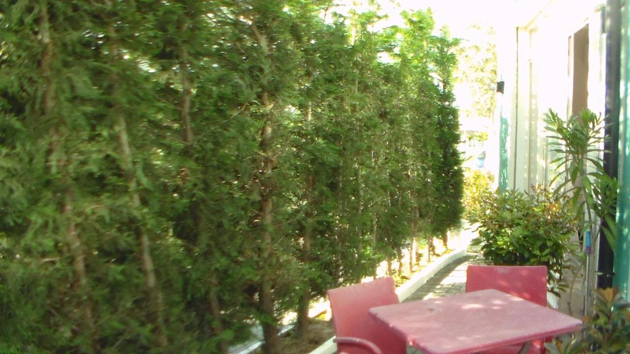 Shkoder Hotel Temali Zewnętrze zdjęcie